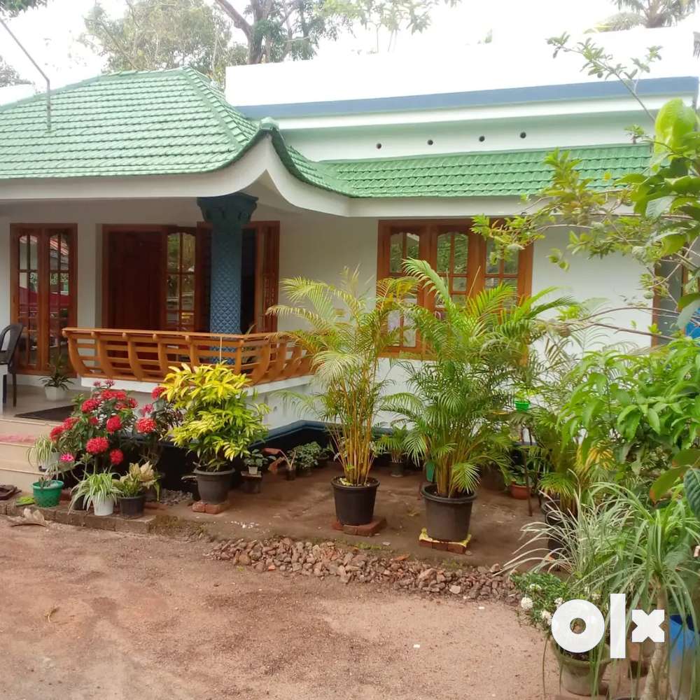 9 Cent Tar road frontage plot with 3BEDROOM house for sale
