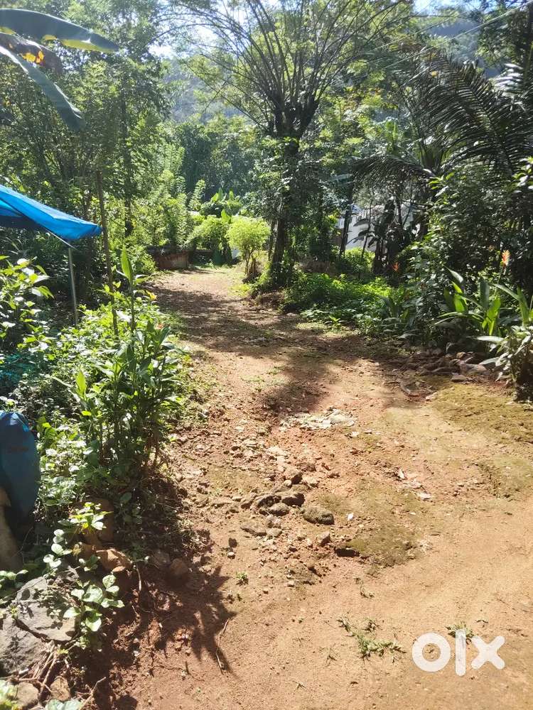 1acre 30 scent plot and 3 bedroom  house for sale