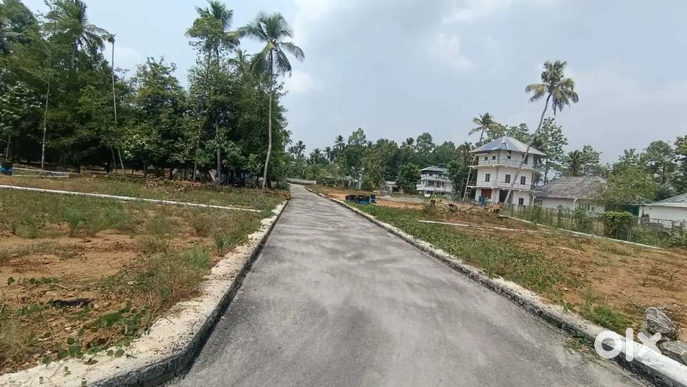 Angamaly Thuravoor,, beautiful house plots for sale, r4,6,8,10 cents