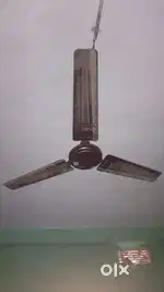 Usha ka fan