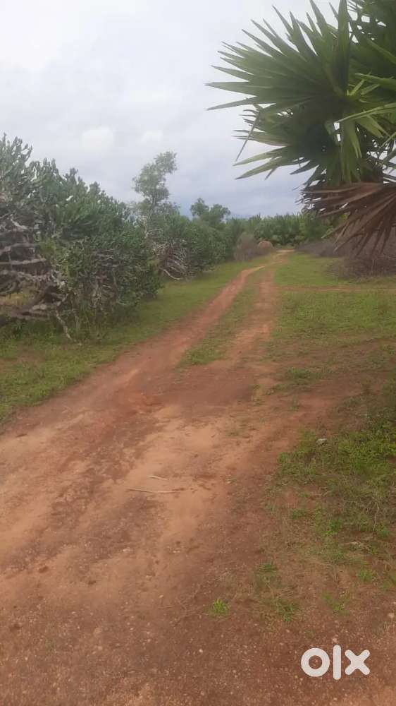 2.5 acre land sale