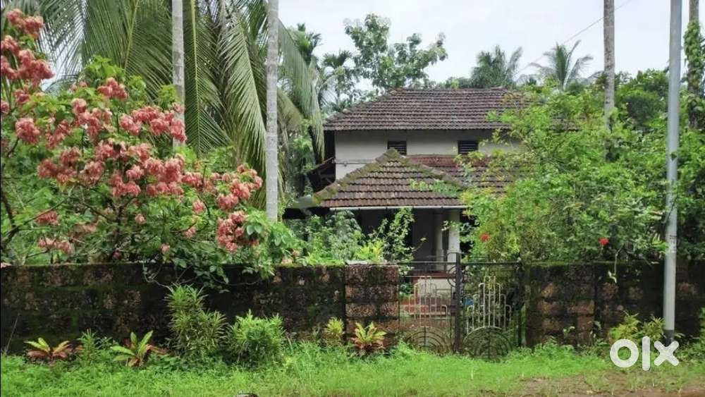 Plot for sale . 18 lakh per cent