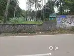 15 cents land for sale