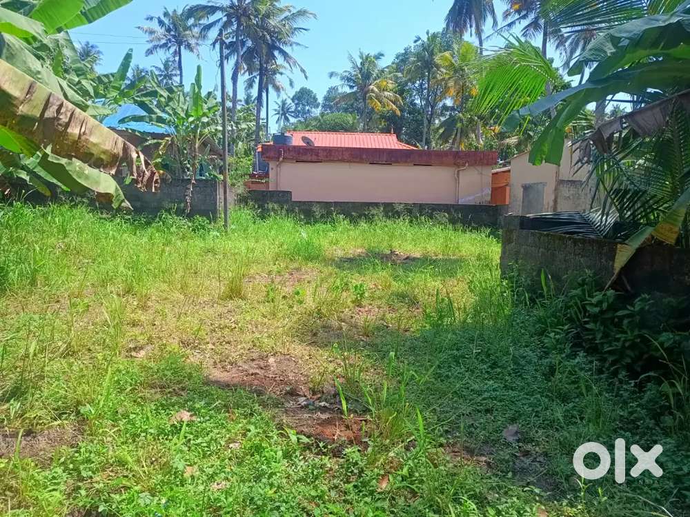 6 cent plot 400 meter from vattiyoorkavu juction
