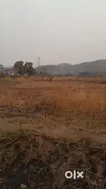 Open plot green zone 2 lakh guntha