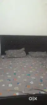 Roommate required