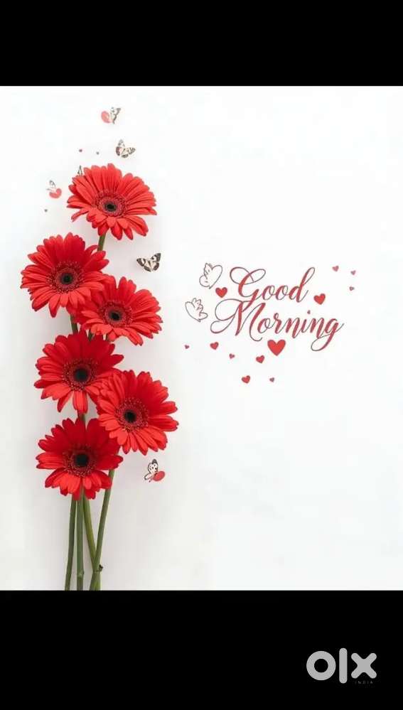 Fully Registered CNT Free Vastu land