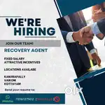 COLLECTION EXECUTIVE