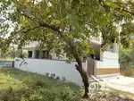Urgent sale Tuda final approved owner land sale no mediators please