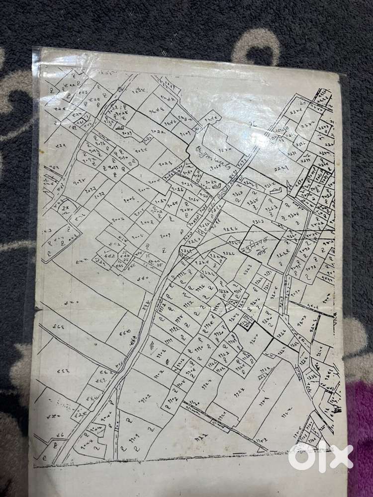 Land available for ploting