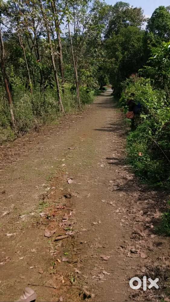 Pala Edanad Houseplot 105000 per cent