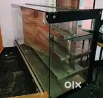 Bakkery display showcase for saile