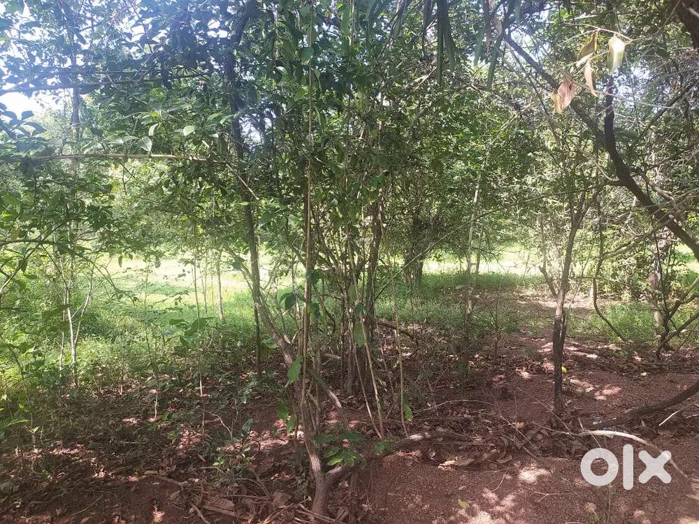 Land 5000 in podocem Sanqlim