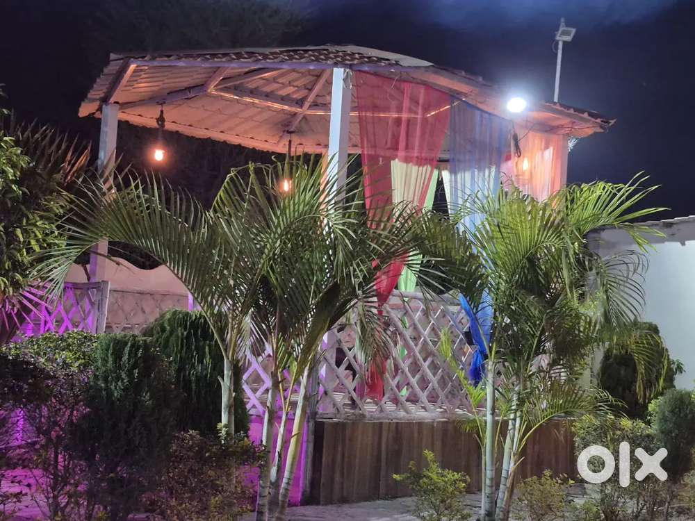 Need restaurant manager in Rewa