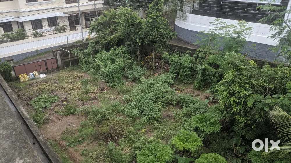 7.75cent plot for sale in Pulayanarkotta, Trivandrum Corporation
