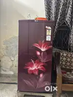 Lg Single Door Fridge