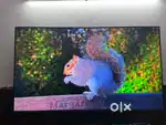 All brand sony samsung lg tcl haier led with brand warranty