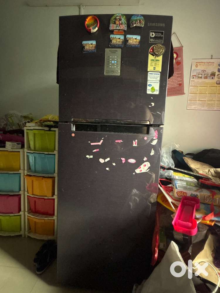 Samsung Double Door 253L Refrigerator