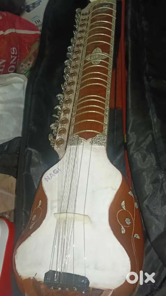 Taus for sale