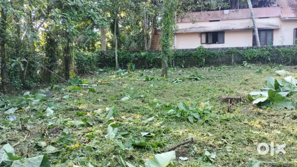 Plot for sale. Nedumprom Thiruvalla
