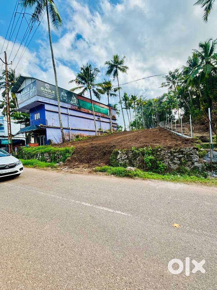 ‼️Panacode house plot urget sale ‼️