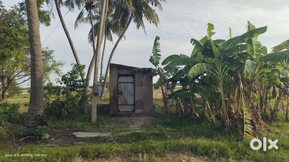 Agriculture land location Azhisoor