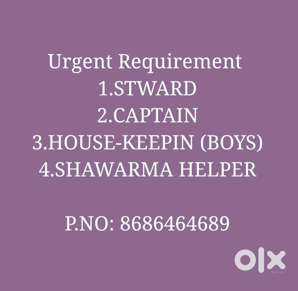 Experience steward and Housekeeping Boys