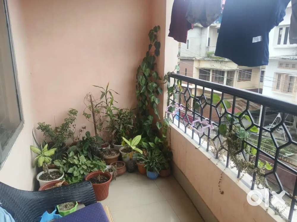 One furnished room for rent