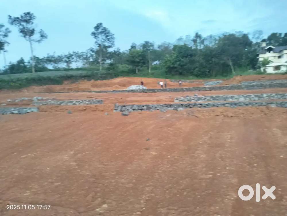 Ernakulam infopark thiruvaniyoor plot for sale