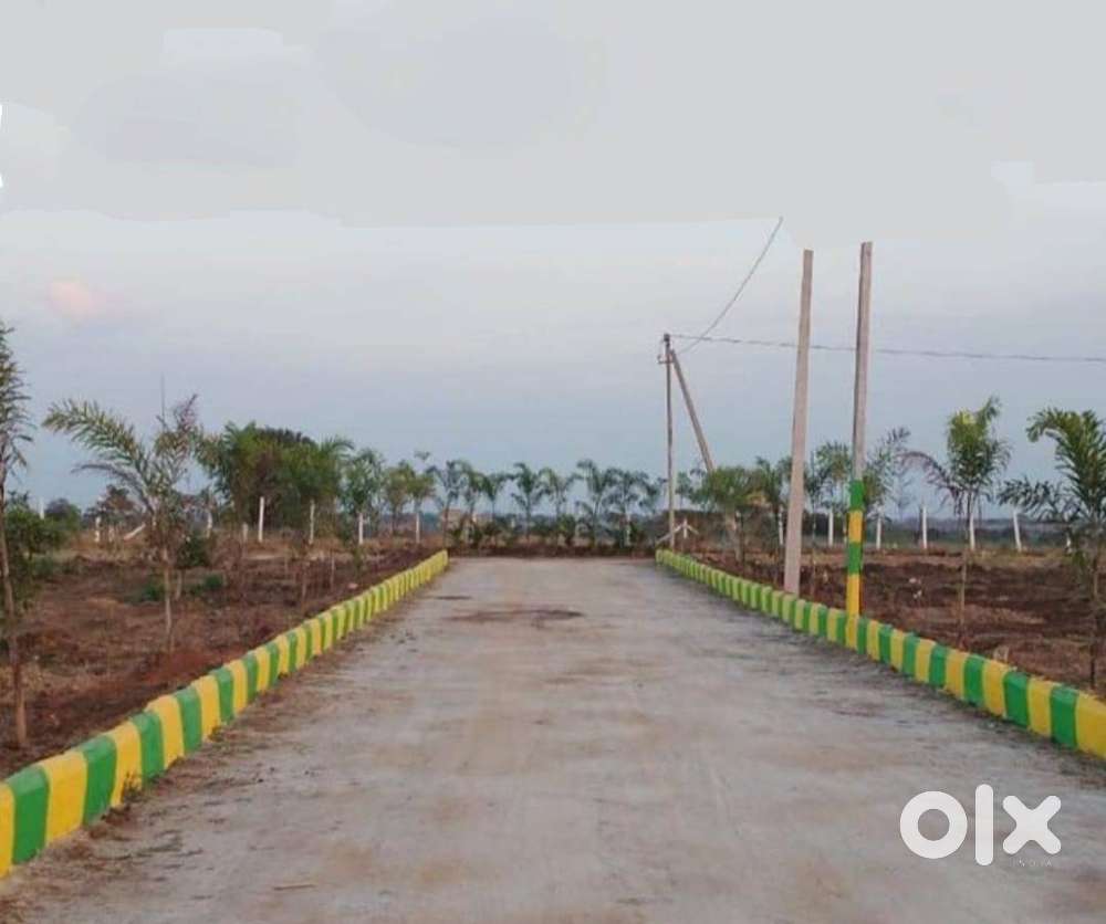 Best lands in patloor / Hyderabad / vikharabad/ ranga reddy/ marpally