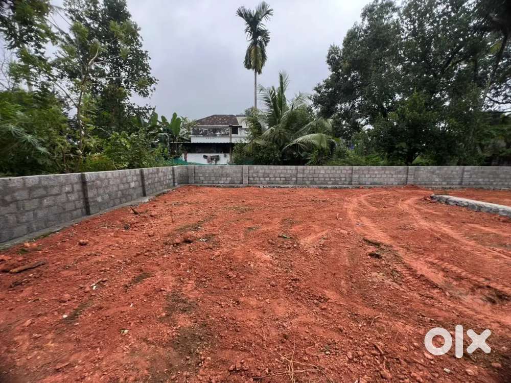 Aluva Desom 5,7,10,20 cent house plot for sale immediately