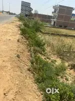 Commercial plot