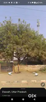 Plot on NH service road