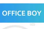 Office Boy