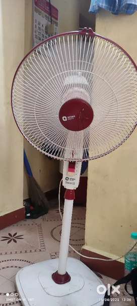 Orient pedestral fan