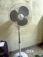 Standing Fan