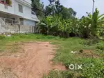 Pappanamcode poozhikunnu 6 cent House plot 7 lakhs cent lorry site
