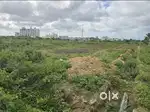 Comercial site