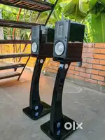 Raidho X-1 with original Stands
