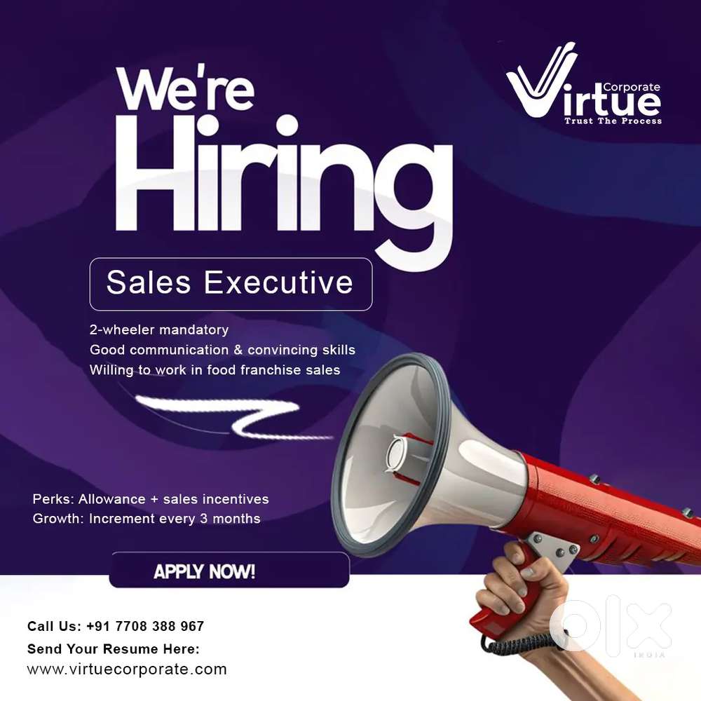 SALES EXECUTIVE