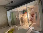 Samsung refrigerator 5 star under warranty