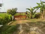 18 acres of fenced and developed farm, just 35 kms from Bhubaneswar.