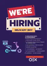 Delivery executive