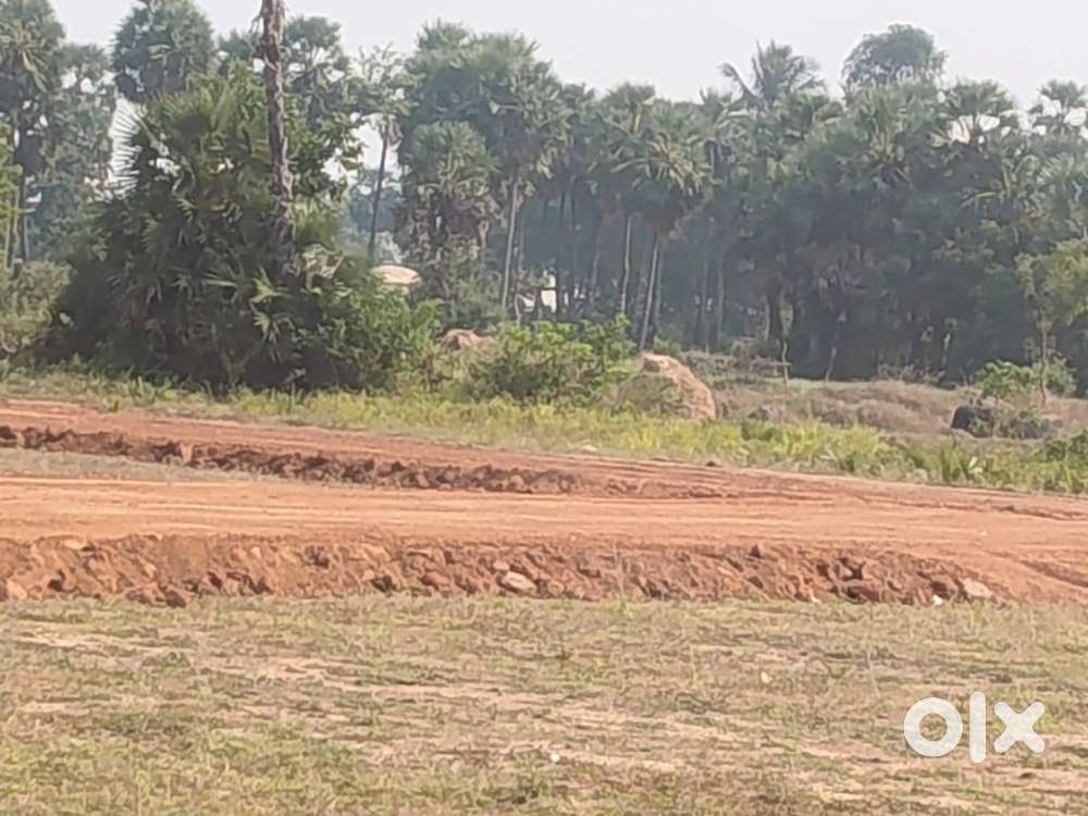 Best investment plots