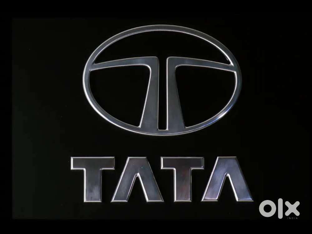 All India based jobs available in tata motors