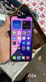 iPhone 13 pro max 128 grin colour