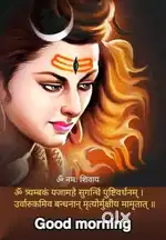 Sale 40.74 metera joda buddhi vihar avas vikas phases 2
