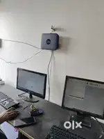 We hiring for girls