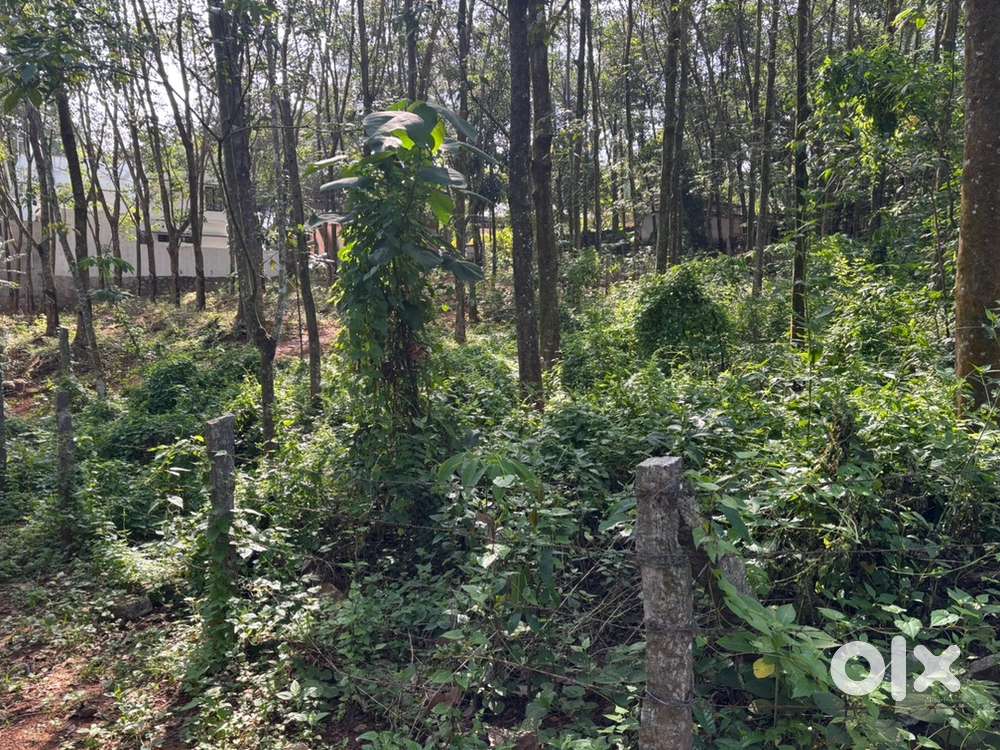 Best house plot for sale