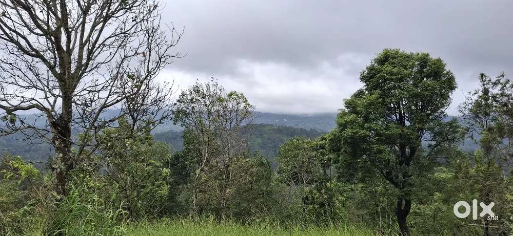 കട്ടപ്പന തോപ്രാംകുടി ഹൈവേക്ക് സമീപം 42 സെന്റ് സ്ഥലം വില്പനക്ക്.